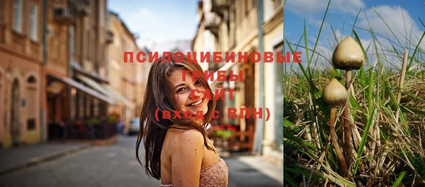 кристаллы Заволжье