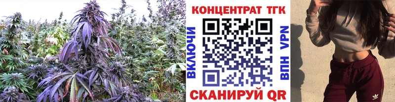 Дистиллят ТГК гашишное масло  Купить закладки  Ступино 